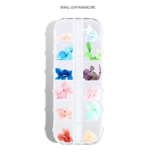Hoa khô nhiều màu sắc đắp ẩn trang trí móng nail-ĐỒ NAIL VIỆT