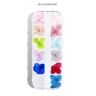 Hoa khô nhiều màu sắc đắp ẩn trang trí móng nail-ĐỒ NAIL VIỆT