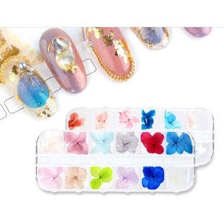 Hoa khô nhiều màu sắc đắp ẩn trang trí móng nail-ĐỒ NAIL VIỆT