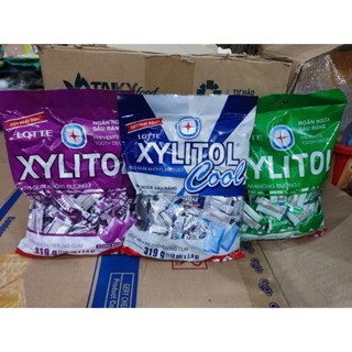 Kẹo Gum không đường Xylitol gói nhỏ159,9g (55 gói x 2,9g)/ Gói TO 319g(110 gói)