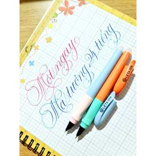  Bút Leta 008 - bút ngòi kim tinh êm 