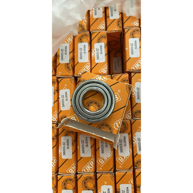 vòng bi inox 304 6003