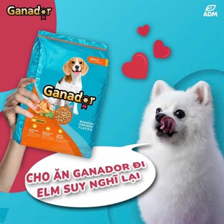 10KG Thức ăn cho chó trưởng thành Ganador vị gà nướng - Ganador Adult Roasted Chicken Flavor