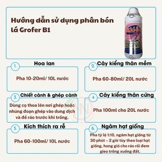 Vitamin B1 Grofer Thái Lan 100ml - Phân Bón Kích Rễ Mạnh Cho Hoa Lan,Cây Kiểng