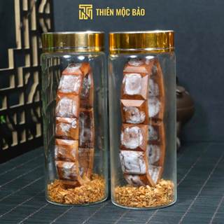 Vòng tay gỗ Hoàng Đàn tuyết Lạng Sơn bản lách vuông cận chìm thấu quang cao cấp | Thiên Mộc Bảo