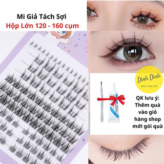  Lông mi giả  Hộp lớn 10 hàng  Mi giả tự nhiên mi tai thỏ mi anime Mi giả tách sợi kèm keo gắn mi 