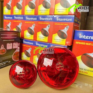 Đèn sưởi gà, bóng úm sưởi ấm gia súc phổ ánh sáng hồng ngoại cao