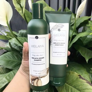 Dầu gội dầu xả gừng trắng thảo dược Weilaiya Ginger Shampoo ngăn rụng và kích thích mọc tóc 400ml 400 / 250ml