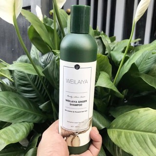 Dầu gội gừng trắng thảo dược Weilaiya Ginger Shampoo ngăn rụng và kích thích mọc tóc 400ml
