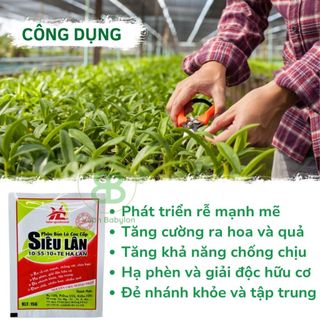 Phân Bón Siêu Lân Đỏ Hà Lan 10-55-10 + TE Vuonbabylon, Giúp cây ra hoa đồng loạt, phát triển đều đẹp - Gói 15gram