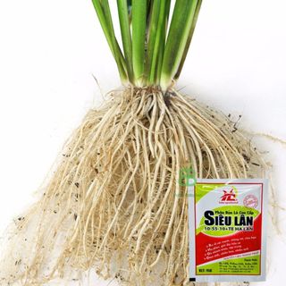 Phân Bón Siêu Lân Đỏ Hà Lan 10-55-10 + TE Vuonbabylon, Giúp cây ra hoa đồng loạt, phát triển đều đẹp - Gói 15gram