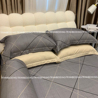 |SALE OFF 50%| BỘ GA GỐI lụa Tencel Micro sợi dày dặn mát(S-ko mền)