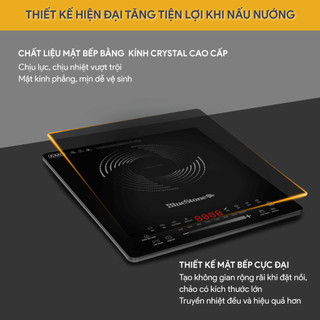 Bếp Từ Đơn BlueStone ICB-6725 2000W