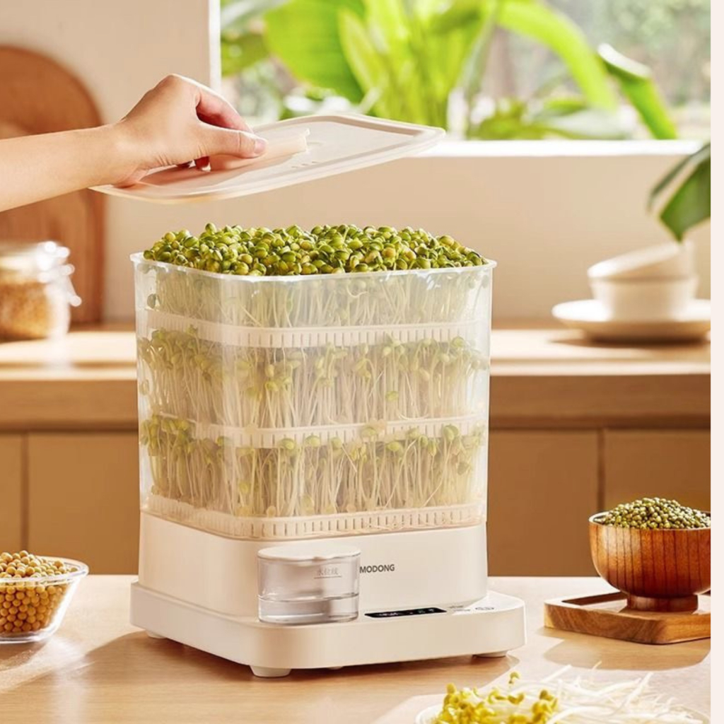 Máy làm giá đỗ tự động Modong Aenader 3 tầng MD-DY01v bể nước bên ngoài điều chỉnh thời gian thích hợp