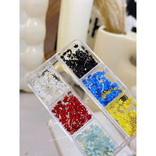SET HOA NHÍ MIX BI 6 MÀU