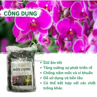 Dớn Cọng, Giá Thể Trồng Lan , Giữ Ẩm Tốt, Thoáng, Giúp Lan Mau Phát Triển, Tốt Rễ - Túi 200G