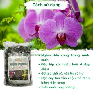 Dớn Cọng, Giá Thể Trồng Lan , Giữ Ẩm Tốt, Thoáng, Giúp Lan Mau Phát Triển, Tốt Rễ - Túi 200G