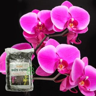 Dớn Cọng, Giá Thể Trồng Lan , Giữ Ẩm Tốt, Thoáng, Giúp Lan Mau Phát Triển, Tốt Rễ - Túi 200G