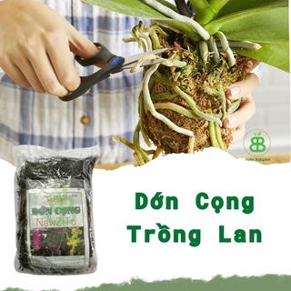 Dớn Cọng, Giá Thể Trồng Lan , Giữ Ẩm Tốt, Thoáng, Giúp Lan Mau Phát Triển, Tốt Rễ - Túi 200G