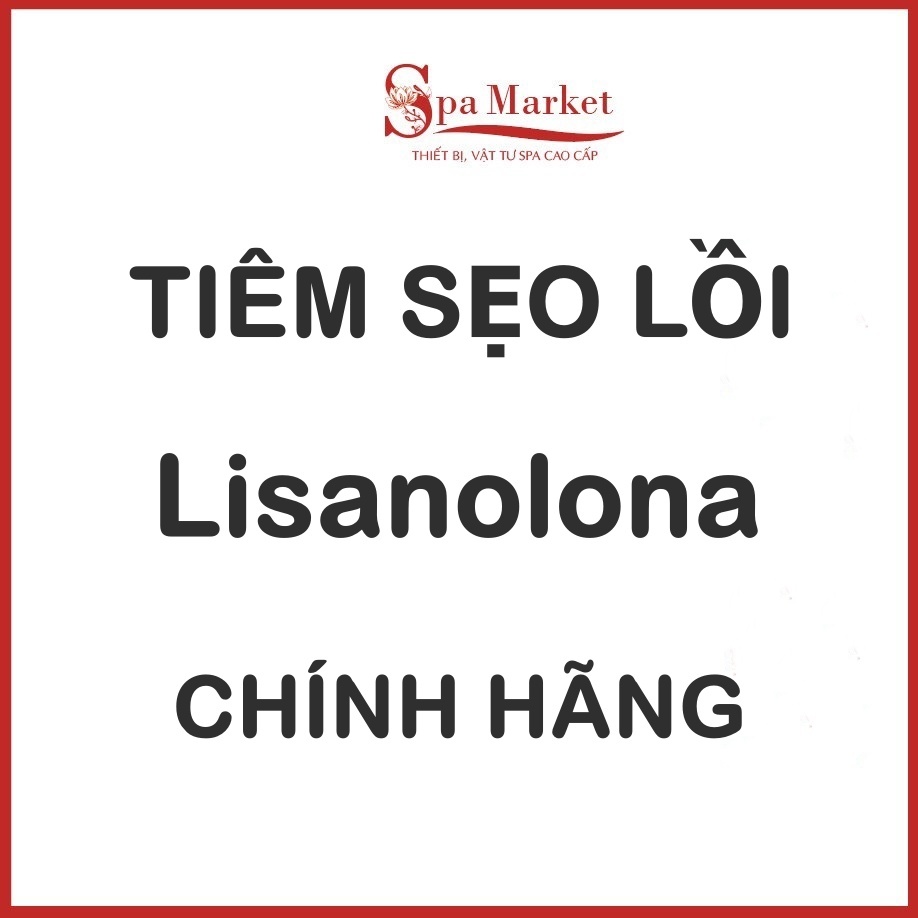 Áo Thun Nữ Lisanolona Chính Hãng Dáng Hộp 5 Ống