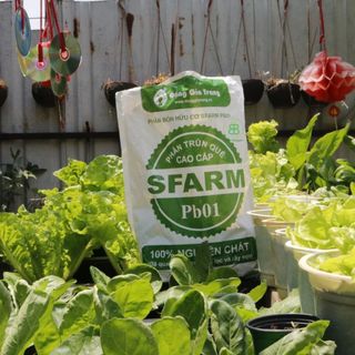 Phân Trùn Quế Nguyên Chất Sfarm, Phân Trùn Hữu Cơ Tự Nhiên, Đã Qua Xử Lý, Tốt Cho Mọi Loại Cây Trồng Vuonbabylon - 2Kg