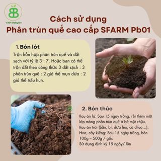 Phân Trùn Quế Nguyên Chất Sfarm, Phân Trùn Hữu Cơ Tự Nhiên, Đã Qua Xử Lý, Tốt Cho Mọi Loại Cây Trồng Vuonbabylon - 2Kg