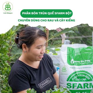Phân Trùn Quế Nguyên Chất Sfarm, Phân Trùn Hữu Cơ Tự Nhiên, Đã Qua Xử Lý, Tốt Cho Mọi Loại Cây Trồng Vuonbabylon - 2Kg