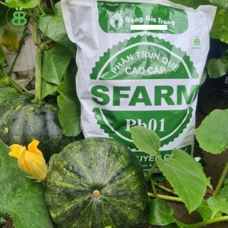Phân Trùn Quế Nguyên Chất Sfarm, Phân Trùn Hữu Cơ Tự Nhiên, Đã Qua Xử Lý, Tốt Cho Mọi Loại Cây Trồng Vuonbabylon - 2Kg