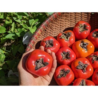 Hồng dẻo ÔNG THẮNG - 300G