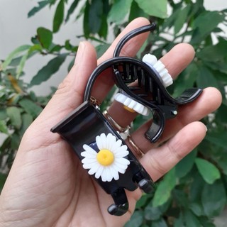 Sỉ 12 Cặp ba răng hoa cúc họa mi hot - SP001075