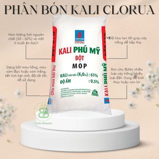 Phân Bón Kali Đỏ Nguyên Chất , Tăng Size Trái, Nuôi Củ, Nuôi Hạt, Cứng CâyTăng Sắc Màu Cho Hoa - Túi 500G