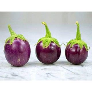 Hạt giống Cà bát tím TN 97A - 1gram
