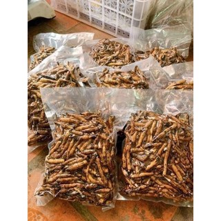 sâm cau đen ( tiên mao )
