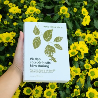 Sách - Vẻ Đẹp Của Cảnh Sắc Tầm Thường