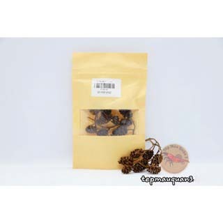 10 Trái Alder Cones (Erlenzapfen) - Trái Thông - Tép Màu Quận 3