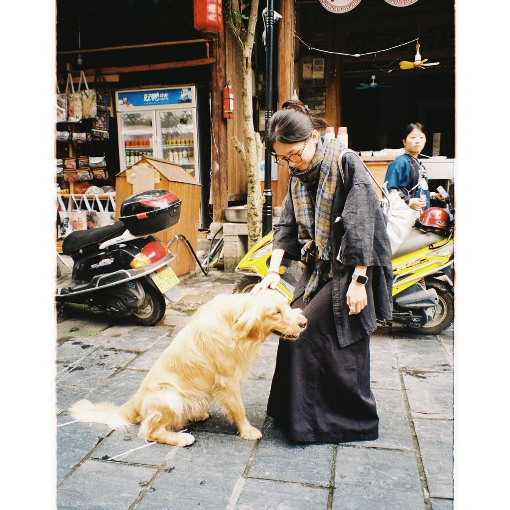 Film chụp ảnh KODAK COLOR PLUS / FUJIIFLM  / KODAK VISION 36exp Date 2026