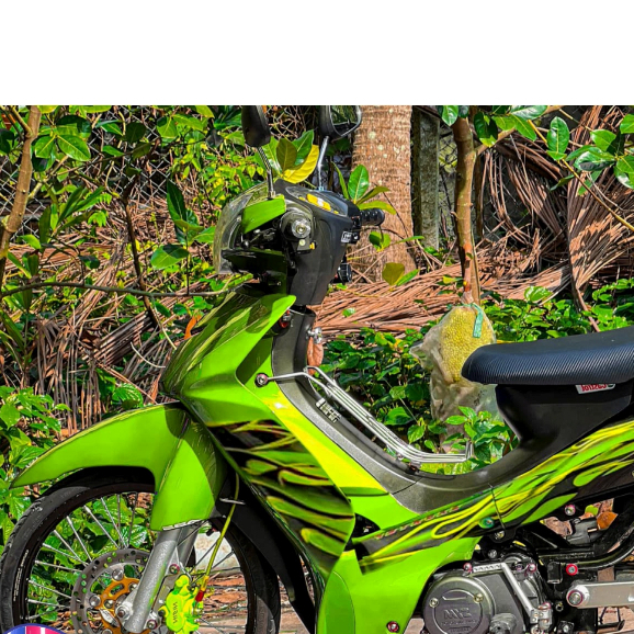 TEM ELEGANT SYM LỬA 50 DECAL 3A