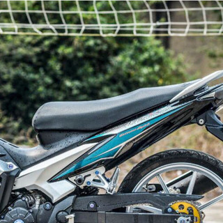 TEM EX 135 LC CHAM TỔ ONG DECAL 3A