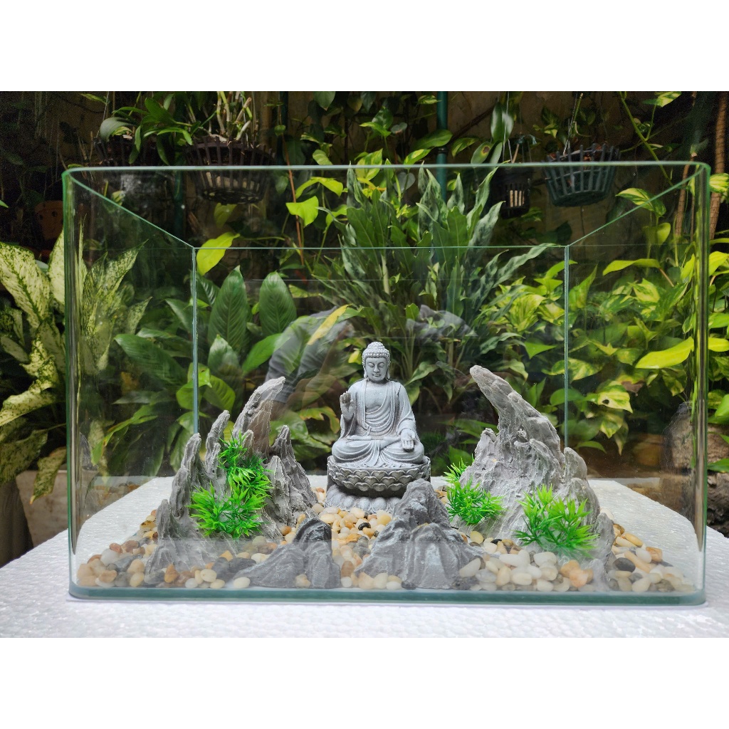 Combo Bể cá mini Hồ cá mini size 40cm Kèm LAYOUT HẼM NÚI. Đủ phụ kiện nuôi cá