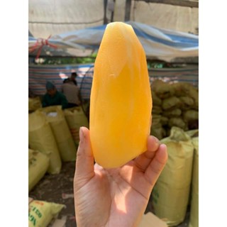 củ giống khoai sâm