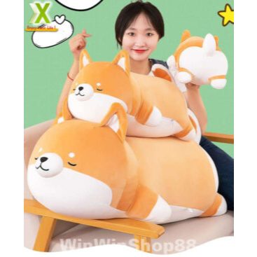 Thú bông chó Shiba ngủ siêu cưng cute 50cm vải miniso 4 chiều cao cấp, gối ôm chó Shiba dễ thương đá