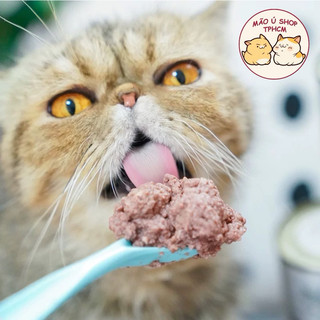 [COMBO 6-24 LON 400g] PATE LON MORANDO CHO MÈO MỌI LỨA TUỔI