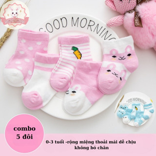 Combo 5 đôi tất cho trẻ sơ sinh và trẻ nhỏ từ 0-4 tuổi hình thỏ , gấu vải cotton co dãn 4 chiều nhà SUKIBO KIDS cho bé