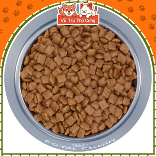 (Túi chiết) Thức Ăn Hạt Royal Canin Kitten Cho Mèo Con