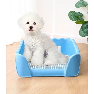 Khay vệ sinh size lớn và nhỏ dành cho chó - T3 PETS SHOP