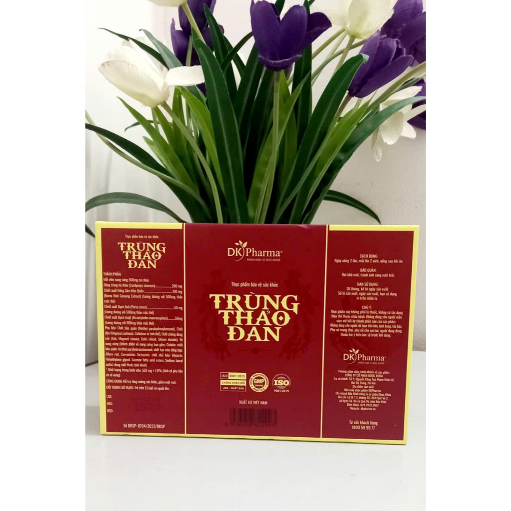 [Hàng Chính Hãng] Trùng Thảo Đan DK Pharma - Giúp bồi bổ sức khoẻ , giảm mệt mỏi -Hộp 2 lọ x 30 viên
