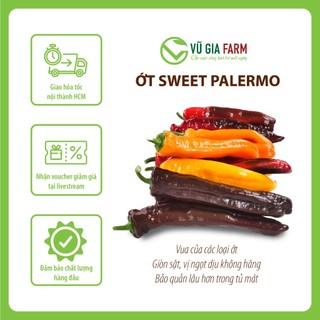 [TOÀN QUỐC] Ớt Palermo Đà Lạt - giòn, ngọt thanh, mọng nước, tươi ngon