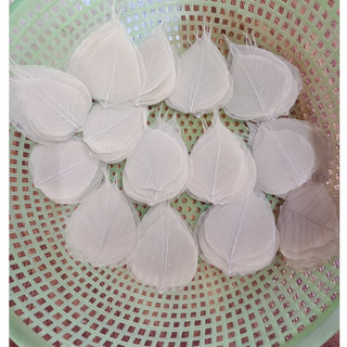 set 20 xương lá bồ đề (tặng 1 cái)