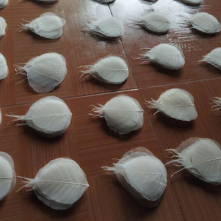 set 20 xương lá bồ đề (tặng 1 cái)