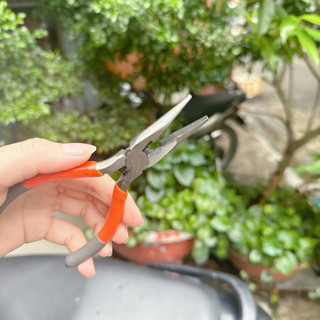 ( ảnh thật ) KÌM MỎ NHỌN KAPUSI 5 INCH